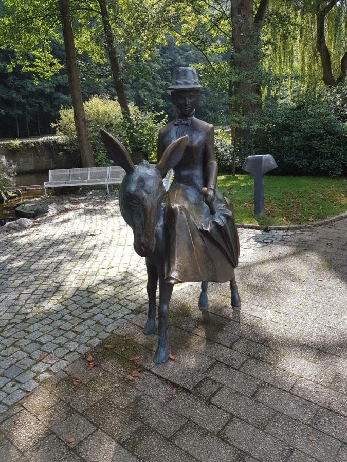 Bergblüte Daire Bad Harzburg Dış mekan fotoğraf